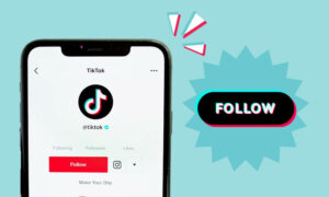 How to Grow Your TikTok Following: Tips for Beginners