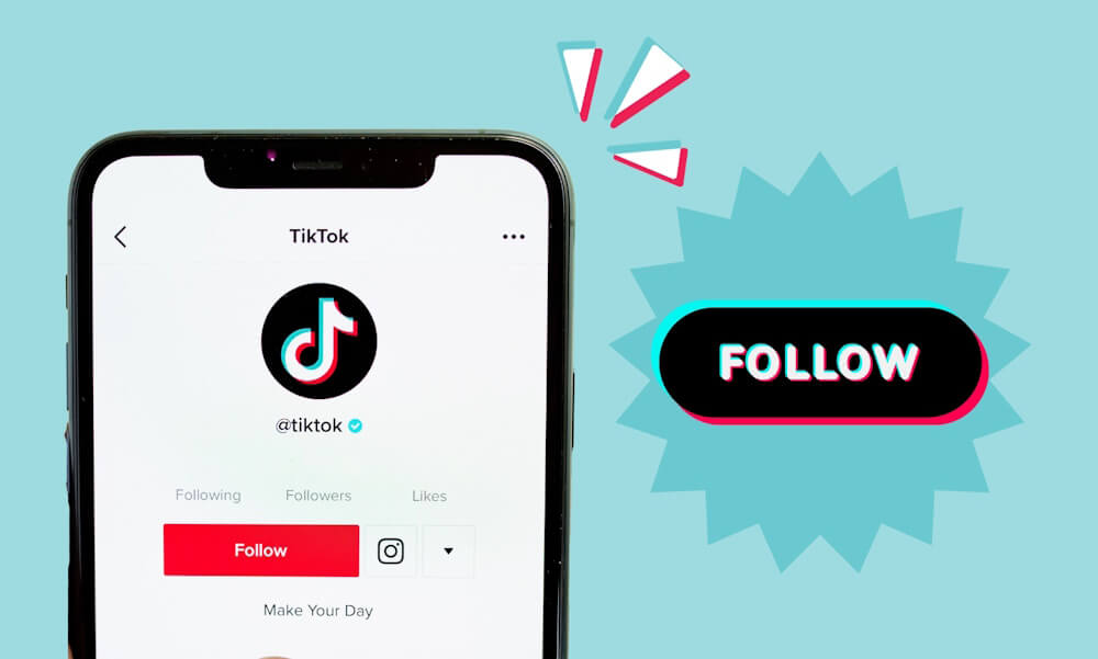 How to Grow Your TikTok Following